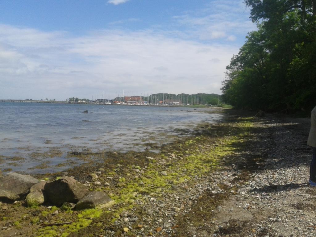 Ostsee Reetkate Langballig Dış mekan fotoğraf