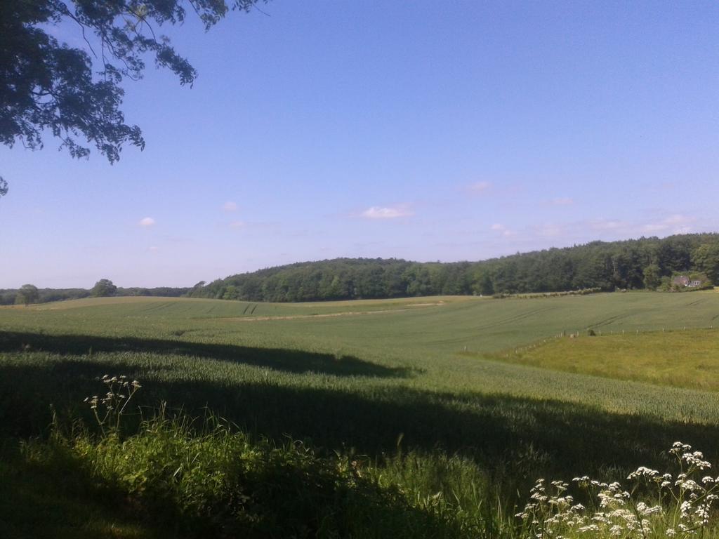 Ostsee Reetkate Langballig Oda fotoğraf