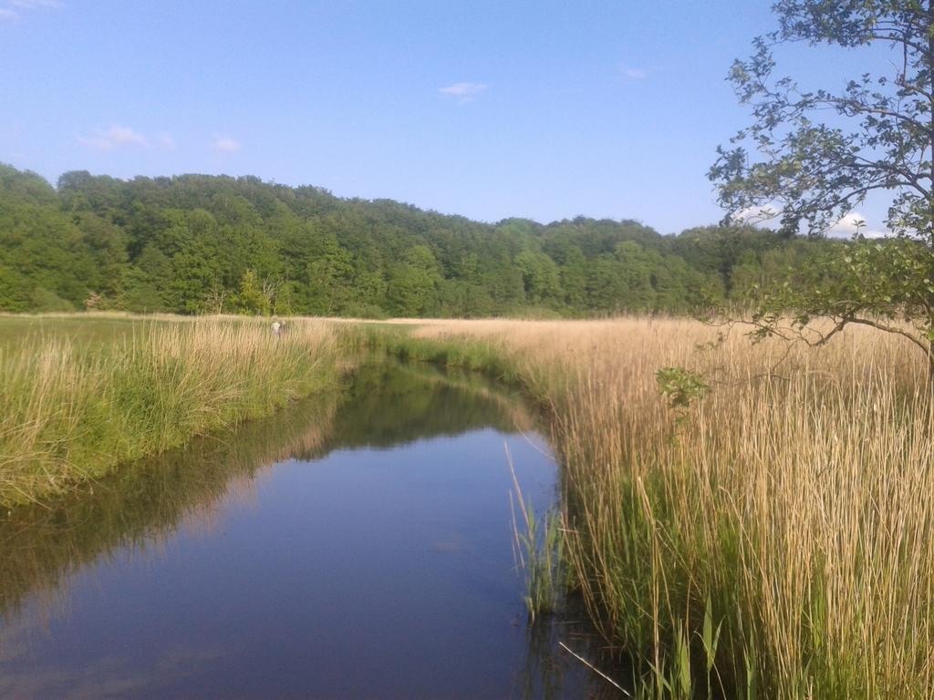 Ostsee Reetkate Langballig Oda fotoğraf