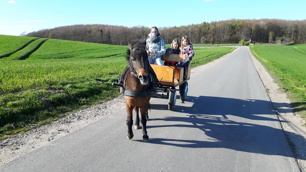 Ostsee Reetkate Langballig Dış mekan fotoğraf